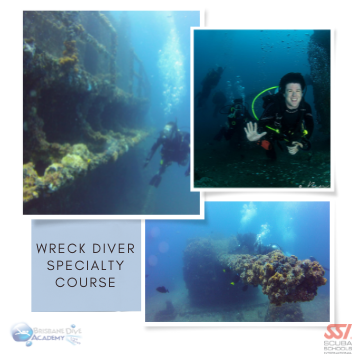 Wreck Diver