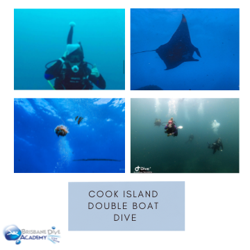 Cook Island Double Boat Dive