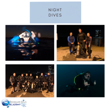 Night Dive