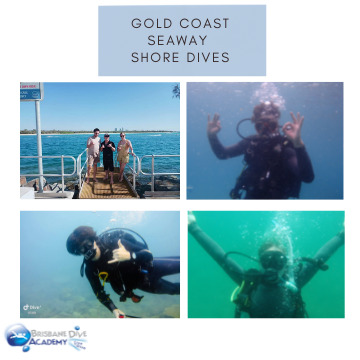 Gold Coast Seaway Shore Dive
