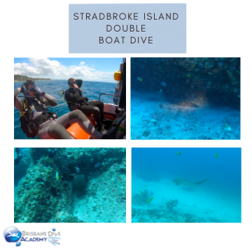 Stradbroke Island Double Dive